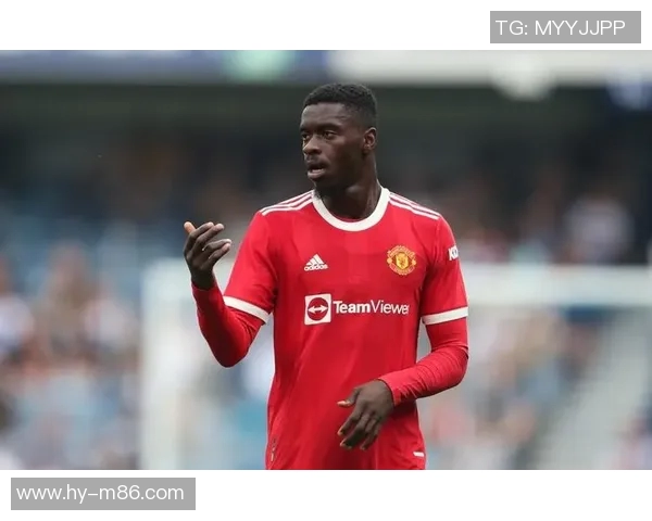 范戴克的传奇之路：从青涩小将到世界顶级后卫的蜕变与荣耀